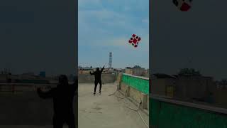 big kite  pindi basant  basant 2024 kite youtube kiteflyinglover kites kiteflying [upl. by Neenej709]