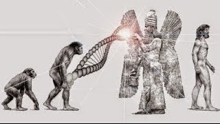 Die Anunnaki  Wahre Erschaffer der Menschheit Neue Evolutionstheorie [upl. by Yanad]