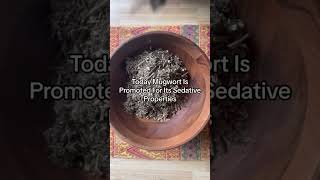 Mugwort Benefits🌿 mugwort holistichealth herbalism wellnesstips [upl. by Kcirdnekel422]