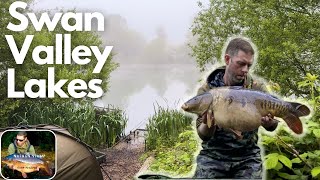 SPRING CARP FISHING Work overnighter on Swan Valley lakes [upl. by Saduj215]