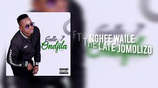 Nghee waile ft the late Jomolizo [upl. by Ymmot376]