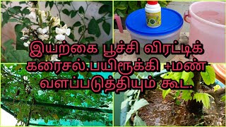 எல்லா புச்சிகளையும் விரட்ட ஒரே கரைசல் single solution to repel all insects [upl. by Borer]