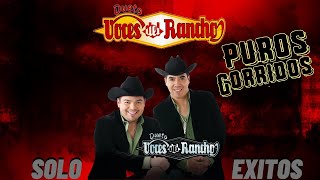 DUETO VOCES DEL RANCHO MIX 10 EXITOS CORRIDOS [upl. by Nottirb608]