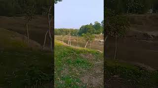 নদীর পাশে আমাদের গ্রাম nature village viral YouTubeshorts newvideo viralsong [upl. by Githens592]