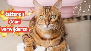 Kattenpis geur verwijderen de meest effectieve manier [upl. by Renzo]