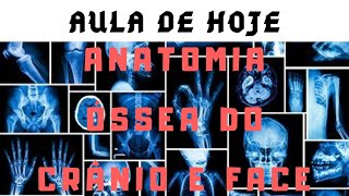 ANATOMIA ÓSSEA DO CRÂNIO E FACE [upl. by Ahsratal]