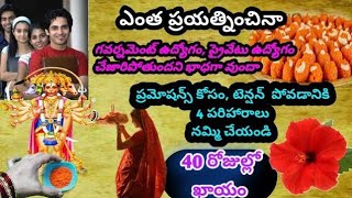 udyogam ravalante em cheyalipowerful jod remedieshow to get jobప్రైవేట్ఉద్యోగంగవర్నమెంట్ ఉద్యోగం [upl. by Compton]