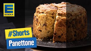 Panettone Rezept  Italienischer Weihnachtskuchen mit Pistazien und weißer Schokolade Shorts [upl. by Longtin]