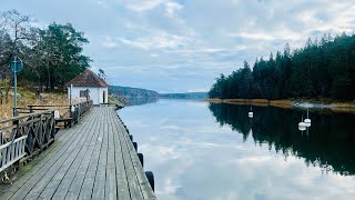 BEAUTIFUL sweden autumn leavesdelicious FIKA…a walkthrough Tyreso castle grounds with amazing [upl. by Elburt]