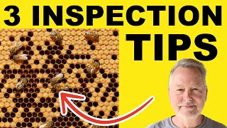 Beekeeping Inspections Simplified 3 Essential Elements [upl. by Novar]