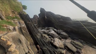 Mangrove jack fishing adventure 🎣💥 കേരള ചെമ്പല്ലി പിടുത്തം🐟fishing love sea beach [upl. by Treiber]