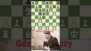 Géza Maróczy vs Vidmar 1922 chess classicalmusicchessgameajedrezclassicatackhistorypuzzle [upl. by Ennyletak]