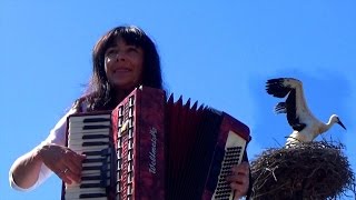 Wiesława Dudkowiak  Medley Accordion Melodies Vol4 [upl. by Hendricks]