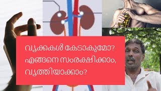 How to cure Kidney diseases  Creatinine  Mohanan Vaidyar [upl. by Ahsinyd598]