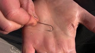 How to Rig a Live Minnow for Maximum Action  Different Ways to Hook Minnows [upl. by Ecnesse]