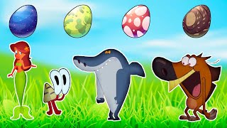 Choose the Right Egg Color to Match Zig and Sharko  Fun Color Challenge [upl. by Rebba]