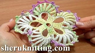 How to Do Crochet 5Petal Flower [upl. by Aicilev]