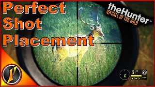 Perfect Shot Placement Guide 3  Hirschfelden  theHunter Call of the Wild 2017 [upl. by Ellessig880]