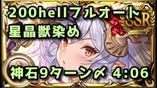 【グラブル】土古戦場200hell フルオート4分6秒 フルンティングなし [upl. by Ntsud]