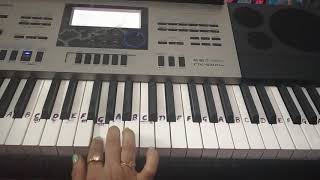 Nagin Gin Gin Gin GinPianoCover SongAastha GillHarmoniumTutorial [upl. by Nerraw]