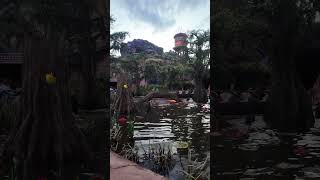 Walt Disney World Magic Kingdom Tianas Bayou Adventure frog pond upshot [upl. by Chansoo304]