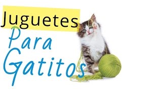 Aprende hacer Juguetes para gatos en casa [upl. by Tailor787]