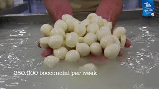 Bocconcini  Thats Amore Cheese [upl. by Jea]