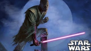 The Story of Mace Windu AFTER Revenge of the Sith  Star Wars Explained [upl. by Aidaas]