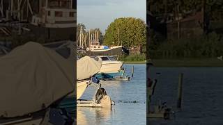 Hochwasser in Hatenboer 🇳🇱 2 [upl. by Bully458]