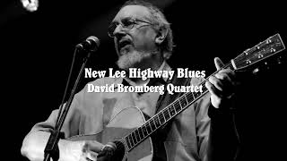 New Lee Highway Blues  David Bromberg Quartet [upl. by Dajma]