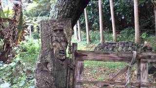 Waipio Valley Part 2wmv [upl. by Gray533]