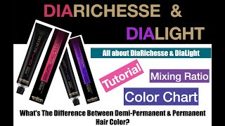 DiaRichesse amp DiaLight Tutorial All about hair color DiaRichesse amp DiaLight by Loreal Professionnel [upl. by Lalo]