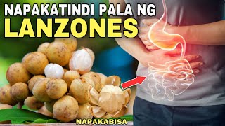 LANZONES 10 HEALTH BENEFITS amp RISKS OF EATING LANZONES FRUIT  Ang dami pala nagagamot ng Lanzones [upl. by Giarla]