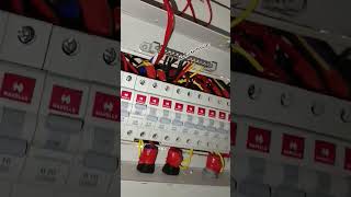 Mcb box wiring connection complete [upl. by Eelyah]