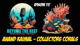 Episode 11 Collectors Corals Anand Kaimal [upl. by Hadeehsar]