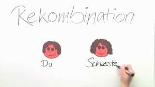 Genetik Rekombination  Biologie  Evolution [upl. by Edd]