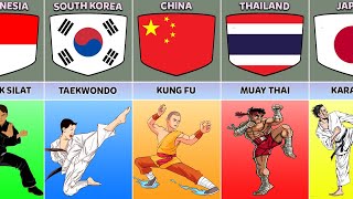 Martial Arts From Different Countries [upl. by Olnek]