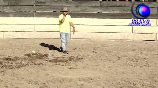 DOMADURAS EXTREMAS DE TOROS Y POTROS  RICARDO ALLENDE  EN SAN FELIPE [upl. by Allehcim]