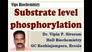 Substrate level phosphorylation [upl. by Ecirtnom13]