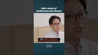 Main causes of cerebrovascular disease medicalkorea koreanmedicine cerebrovasculardisease [upl. by Lime]