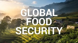 Impact Story Global Food Security [upl. by Anibor]