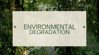 Documentary on Environmental Degradation By Group 8 [upl. by Canter109]