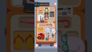 Perfect Tidy Level 12 Bag Packing Walkthrough Gameplay [upl. by Eddy]