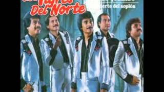 los barandales del puente los tigres del norte [upl. by Carie]