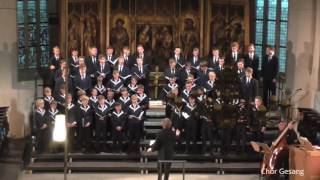 Thomanerchor Leipzig quotSelig sind die Totenquot Heinrich Schütz St Andreaskirche Eisleben 26082016 [upl. by Mafala]