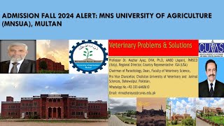 ADMISSION fall 2024 ALERT MNS University of Agriculture MNSUA Multan [upl. by Meras]