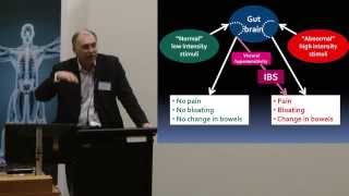 2013 quotBeating the Bloat the FODMAP diet amp IBSquot Central Clinical School public lecture [upl. by Damas965]