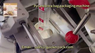 Commiphora gileadensis tea pyramid triangle bag tea bag packaging machine Delivery pyramidtea tea [upl. by Valoniah661]