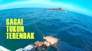 Kasting Ikan Sagai Menggunakan Bulu Ayam [upl. by Madge]