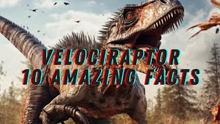 Velociraptor Top 10 Fascinating Facts Revealed Velociraptor’s Dinosaur History Jurassic Period [upl. by Bartlett580]